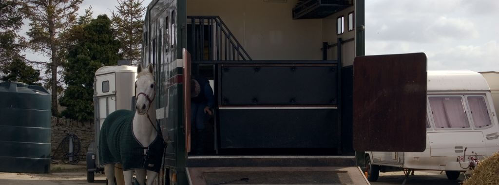 foam for horsebox upholstery